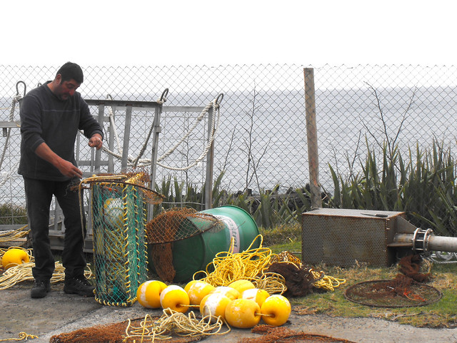 A Tristan lobster fisherman with his traps (Photo by Spixey on Flickr, Creative Commos license)