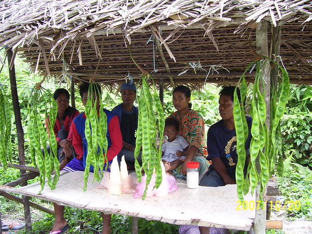 Semai selling legumes along a highway in the Cameron Highlands 